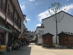 -长兴慧子土特产茶行