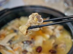 -蘑统田下·野生菌火锅