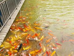 -泰安地下龙宫景区