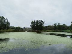 -淇河国家湿地公园