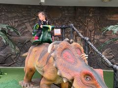 -陕西自然博物馆