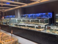 -浩运·海鲜青岛菜·海胆水饺(石老人店)