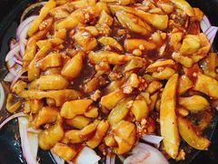 -双新垂钓园