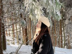 -武陵山森林公园