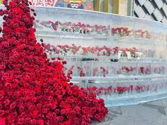 -万达广场(龙湖店)