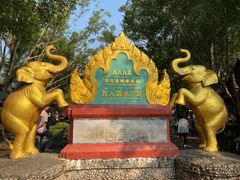 -西双版纳傣族园