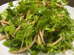 -新乾隆酒楼(帝景园店)