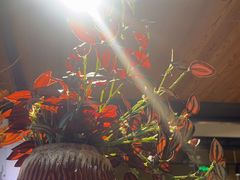 -云尊府云南菜·蒸汽石锅鱼(学清路店)