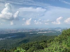 -紫金山山顶公园