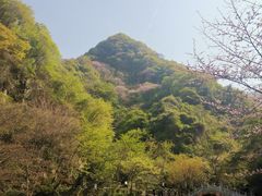 -西安祥峪森林公园
