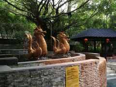 -嘉和K6温泉微度假