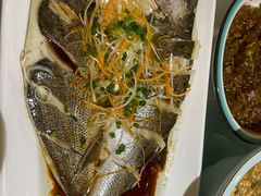 清蒸海鲈鱼-第一楼(西湖店)