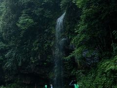-龙苍沟森林公园