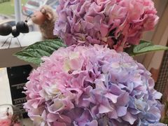 -森野花艺培训·企业团建活动沙龙