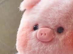 -江南厨子(益田假日广场店)