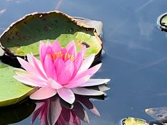 -白马涧龙池景区