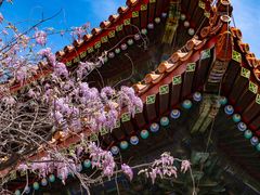 -北京国子监胡同