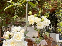 -悦哉·派对·草坪婚礼·围炉煮茶(三圣乡店)