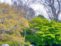 -上海滨江森林公园