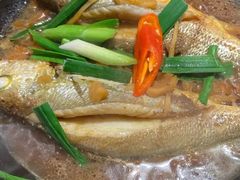 -百家春好德来姜母鸭