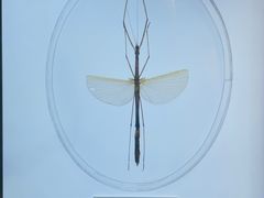 -上海昆虫博物馆