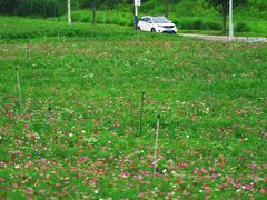 -光明小镇欢乐田园