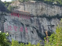 -大鸭梨烤鸭(顺义石园店)