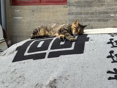 -方砖厂69号炸酱面(方砖厂胡同店)