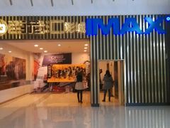 android_upload_pic-金逸影城(武汉人信汇IMAX店)