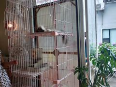 -灯塔咖啡馆BOOK·Coffee Shop