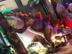 -恐龙探索乐园(磁器口店)