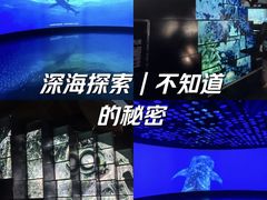 -同济大学四平路校区深海探索馆