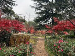-花溪公园