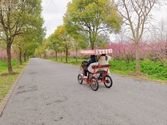 -上海海湾国家森林公园