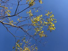 -天津东丽湖风景区
