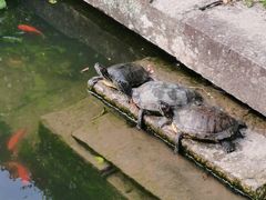 -宁波市保国寺古建筑博物馆