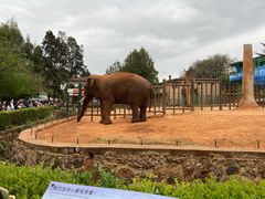-昆明动物园