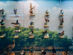 -下渚湖国家湿地公园科普馆