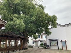 -东梓关景区村庄