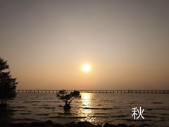 -宝安西湾红树林湿地公园