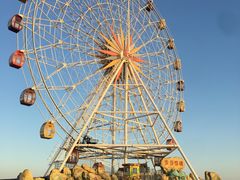 -上海棕榈滩海景酒店