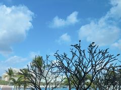 -雾山韩式烤肉·海南糟粕&椰子鸡火锅·海景餐厅(三亚绿发山海天JW万豪酒店)