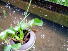 -箱美术馆私房菜(水晶郦城店)