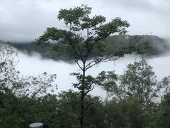 -江南天池