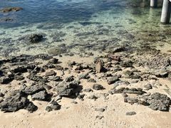 -三亚西岛海洋文化旅游区
