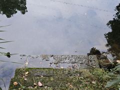 -忠山公园