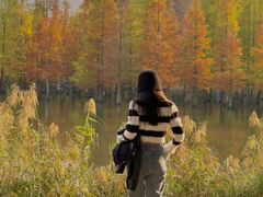 -白鹭湾湿地公园