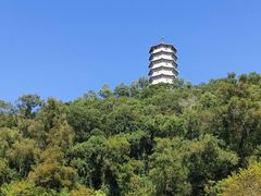 -深圳国际园林花卉博览园