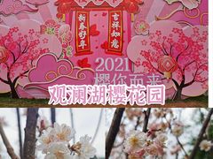 -观澜湖生态运动公社