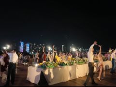 -武汉知音号